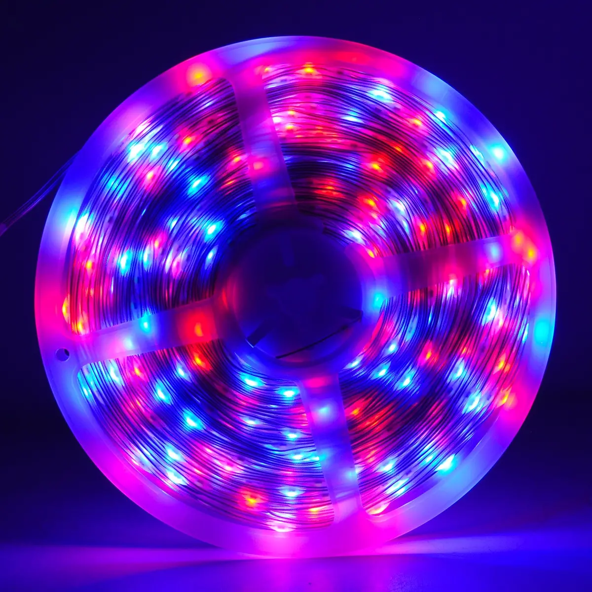 Tira Pinmarkt Led Aplicación Cuerda Rgb Monocromo 50Mts - La Nueva Eléctrica 1
