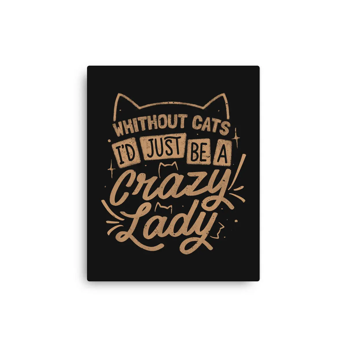 Crazy Lady Without Cats 1