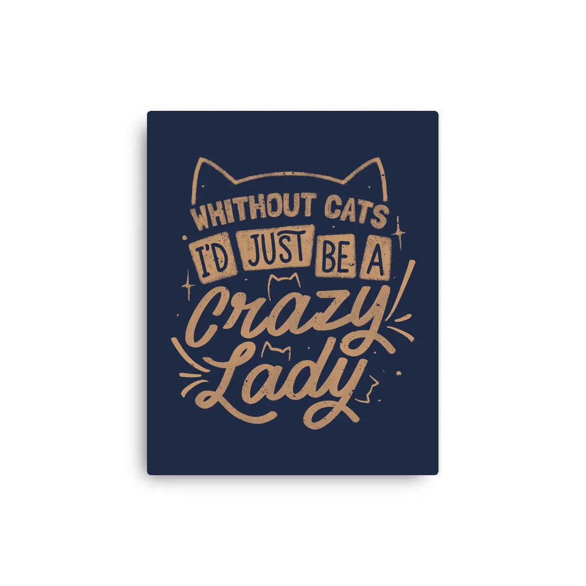 Crazy Lady Without Cats 4