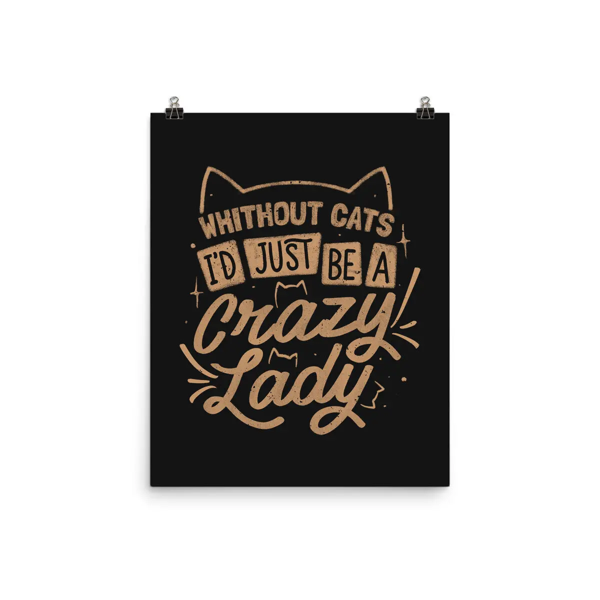 Crazy Lady Without Cats 1