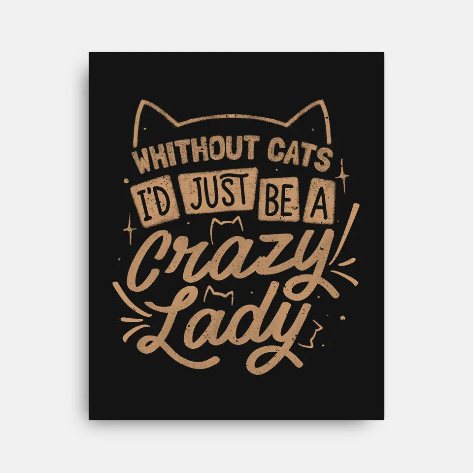 Crazy Lady Without Cats 2
