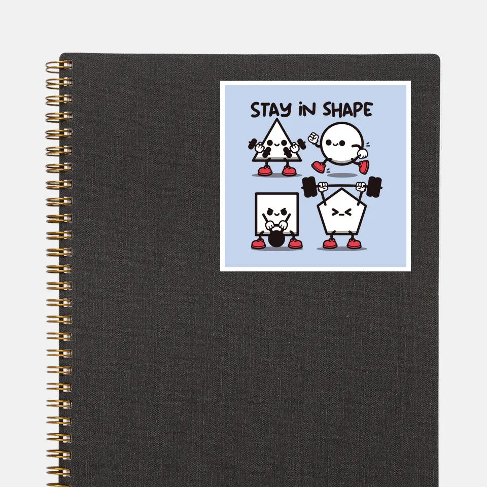 Stay In Shape Geometry 3