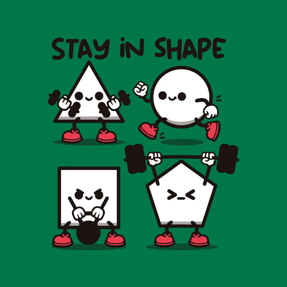 Stay In Shape Geometry 16