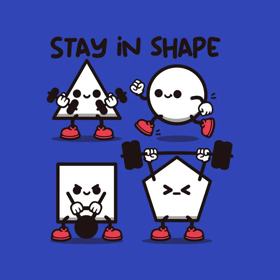 Stay In Shape Geometry 3