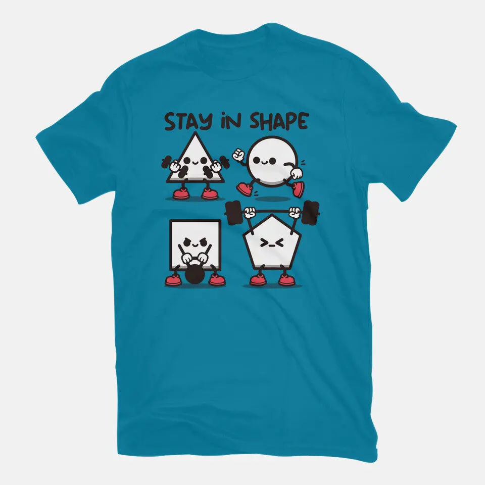 Stay In Shape Geometry 11