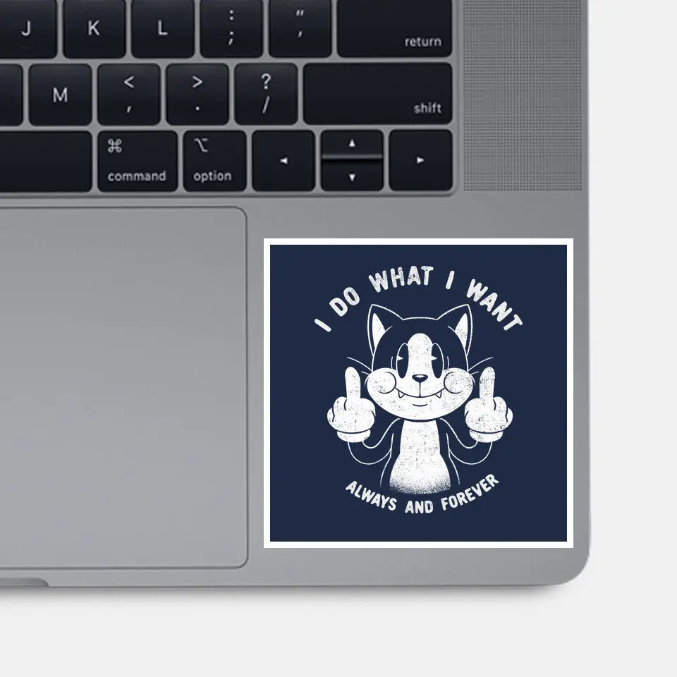 I Do What I Want Funny Cat 6