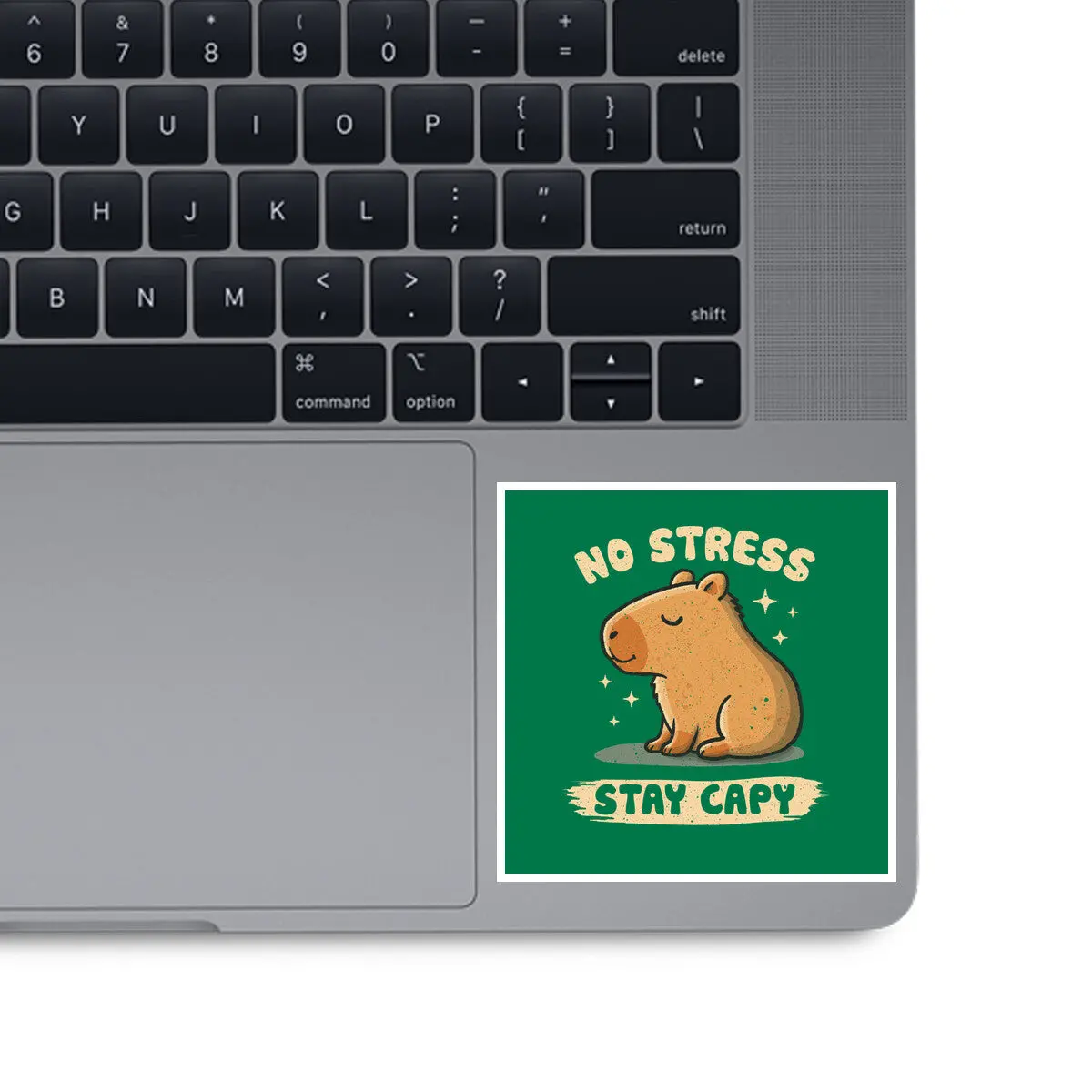 No Stress Stay Capy 1