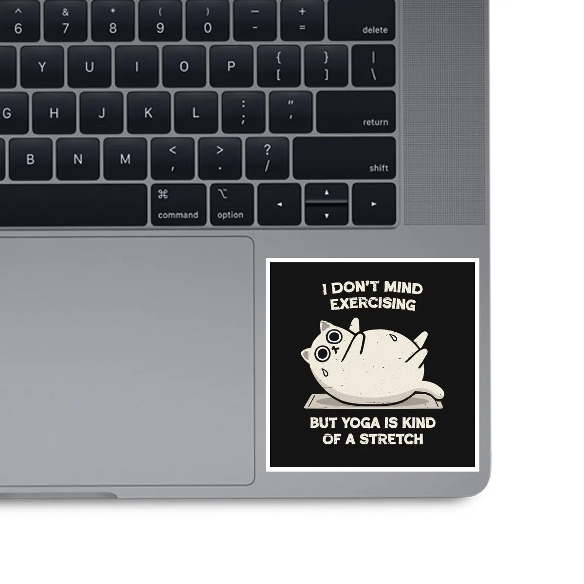 Yoga Is A Stretch 1