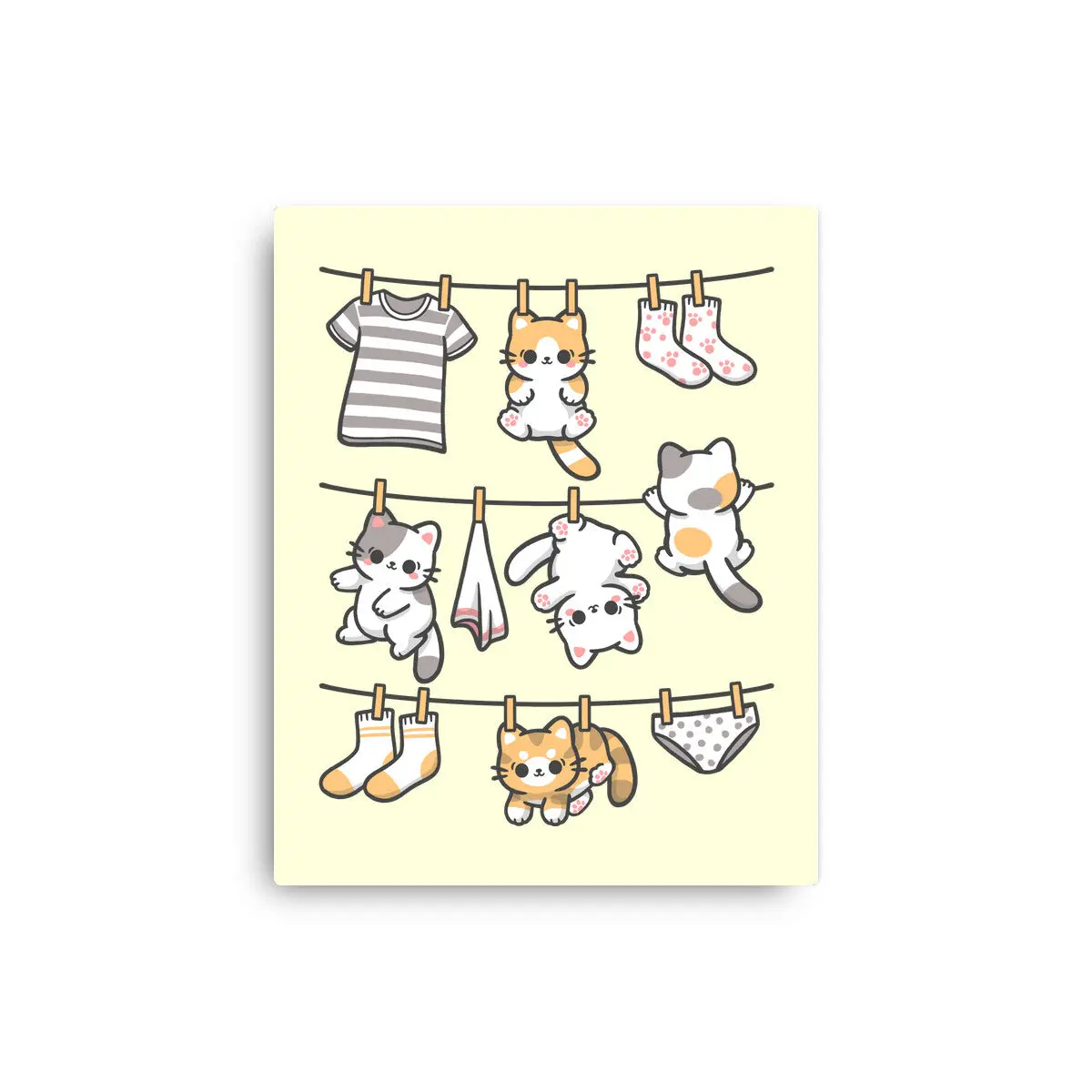 Kitten Laundry Day 1