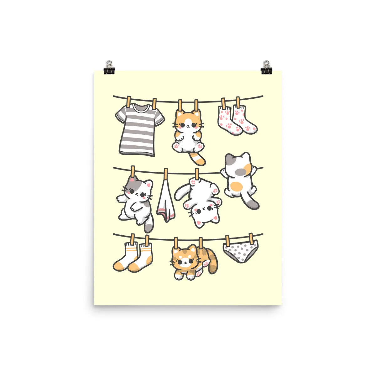 Kitten Laundry Day 1