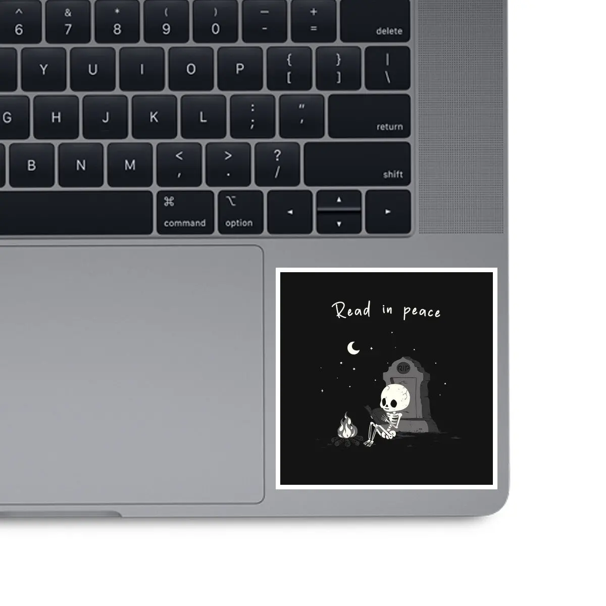 Skeleton Reading 1