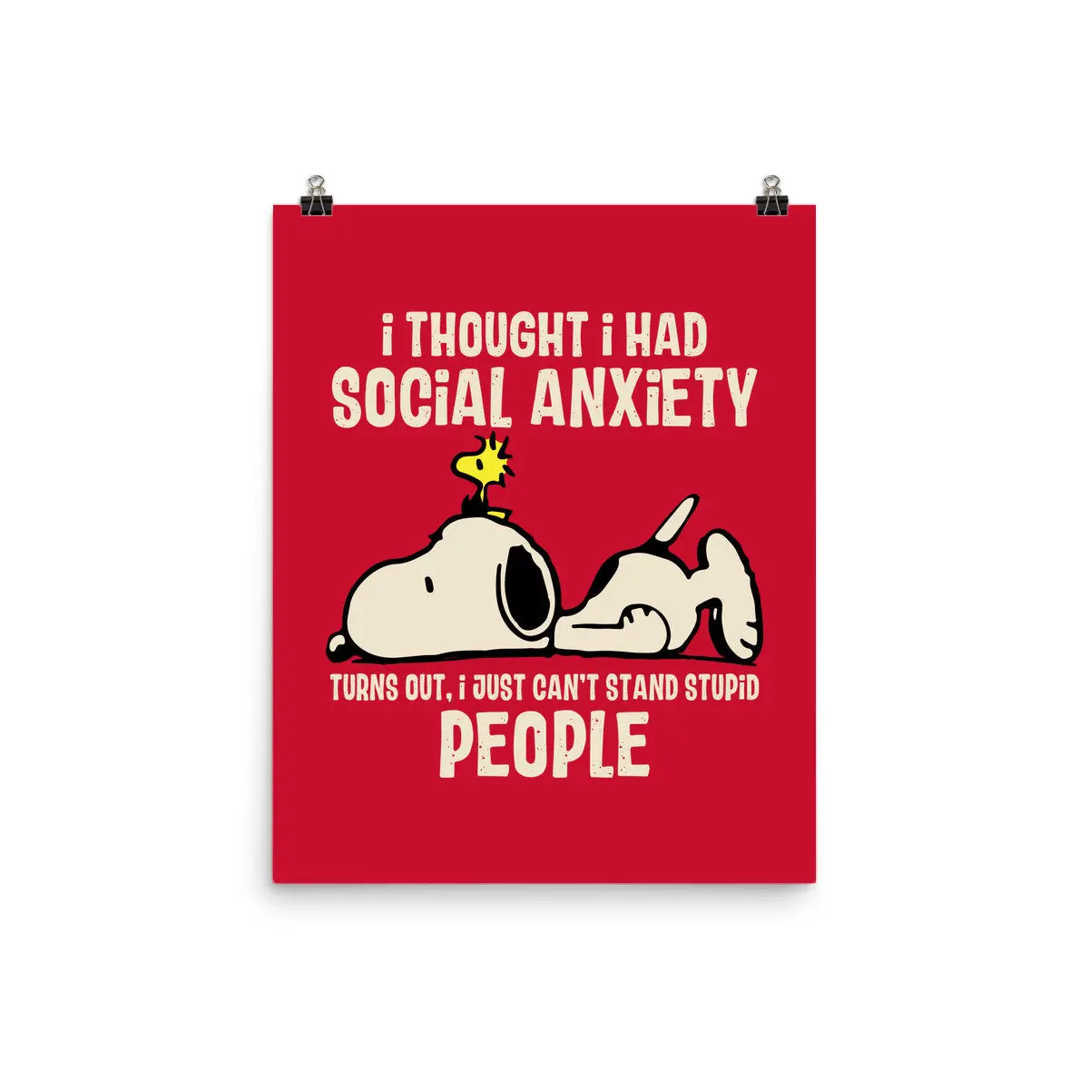 I Can't Stand Stupid People 1