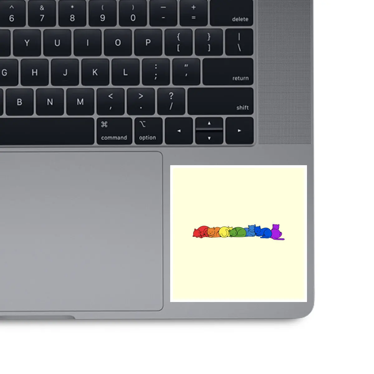Rainbow Cats Pride 10