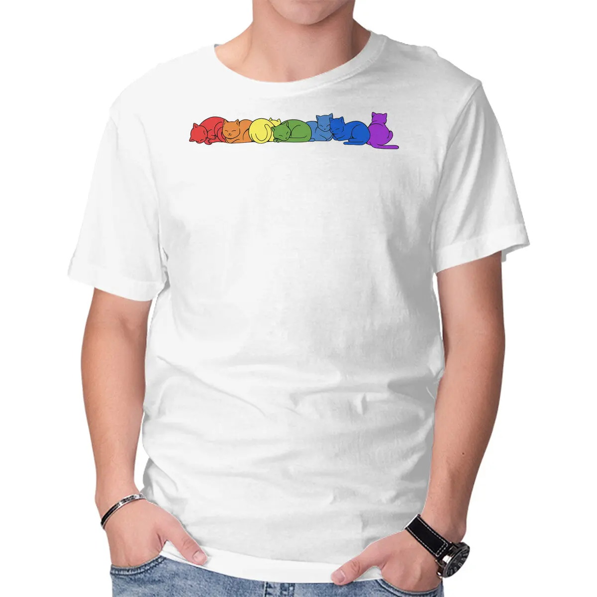 Rainbow Cats Pride 13
