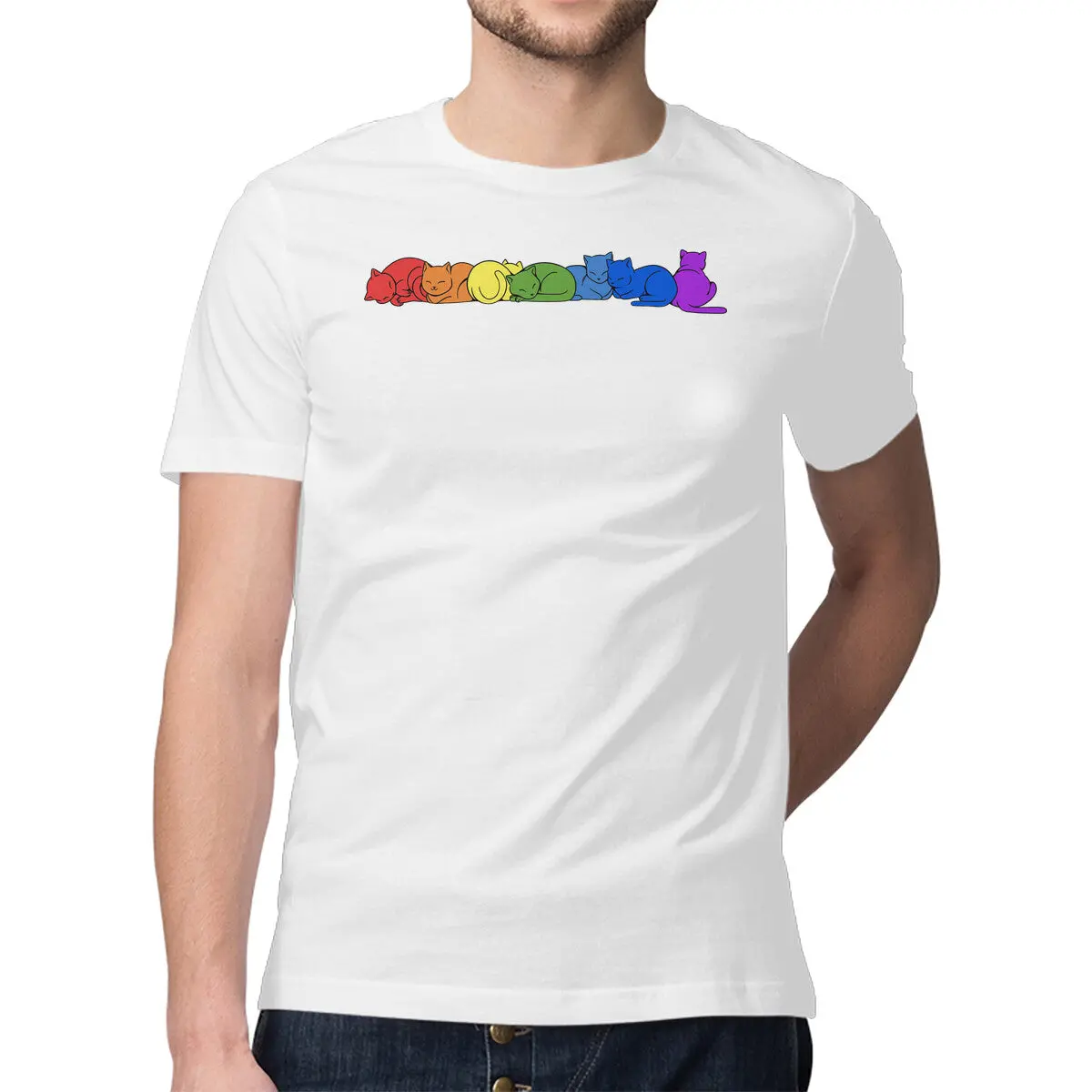 Rainbow Cats Pride 13