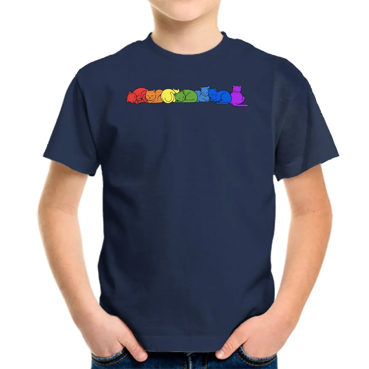 Rainbow Cats Pride 6