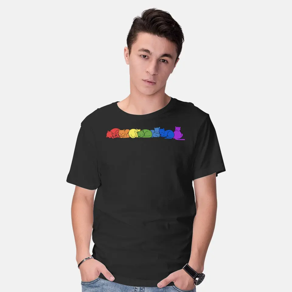 Rainbow Cats Pride 2