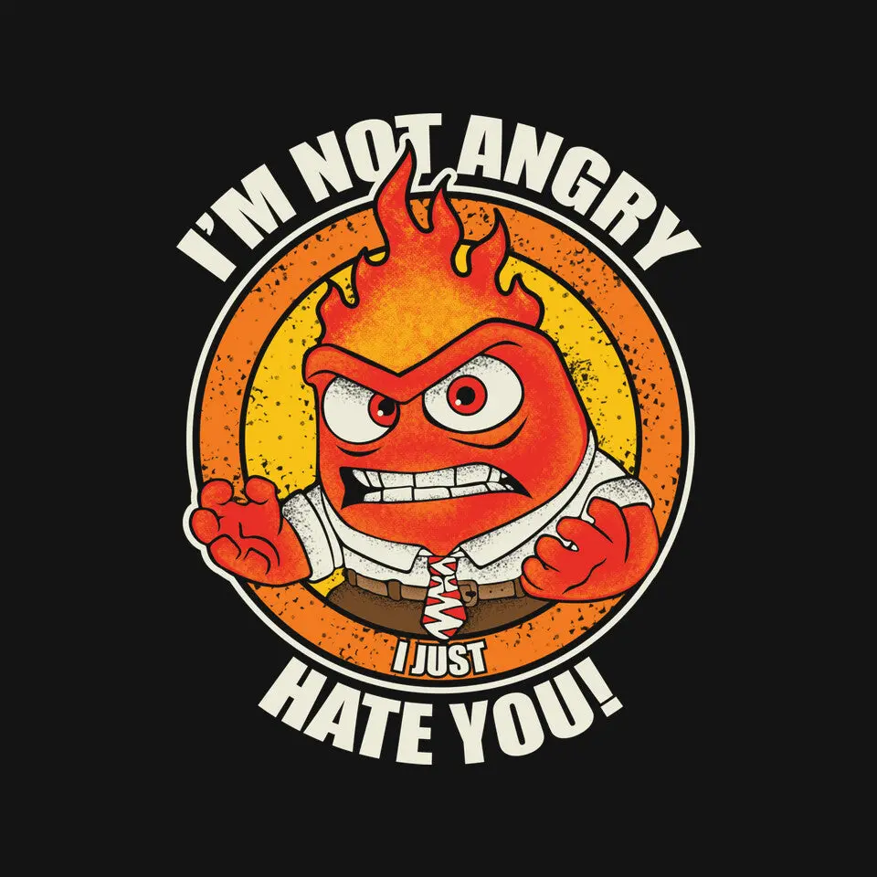 Not Angry I Just Hate You 3