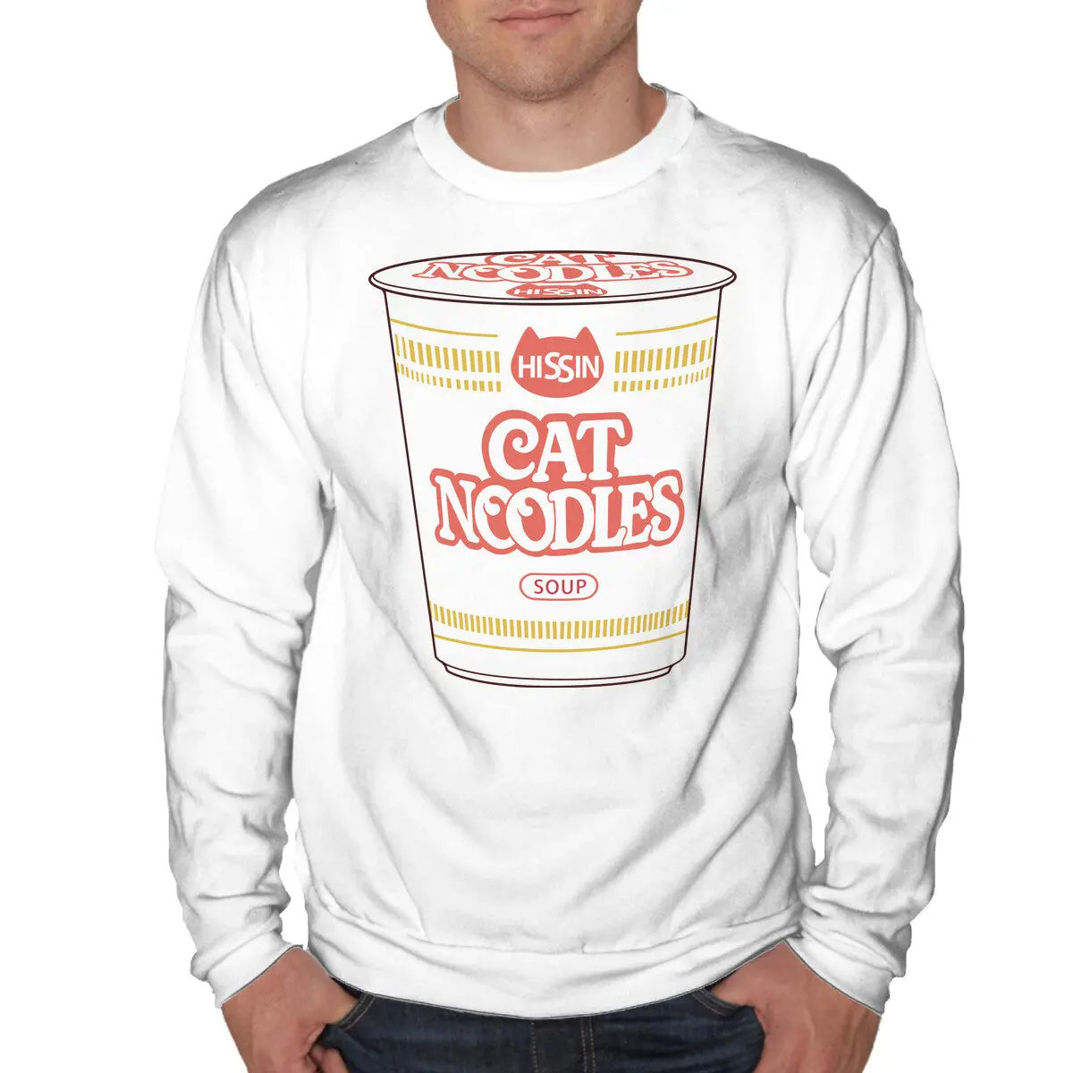 Cat Noodles Soup 1