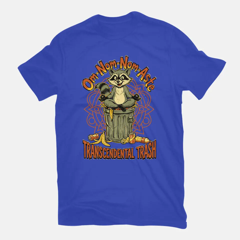 Transcendental Trash 11