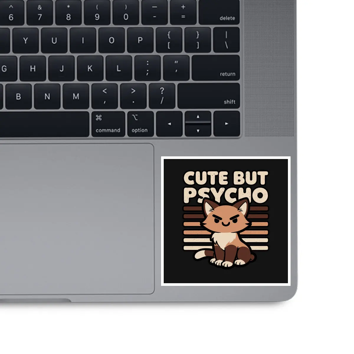 Cute Ironic Cat 1