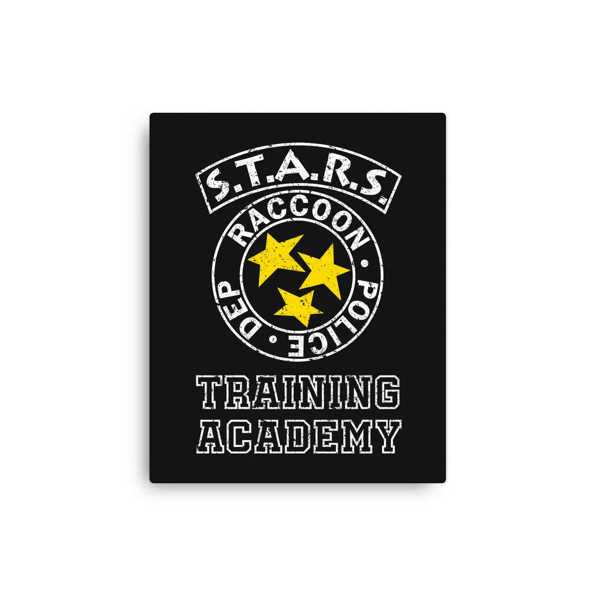 Stars Training Academy 4