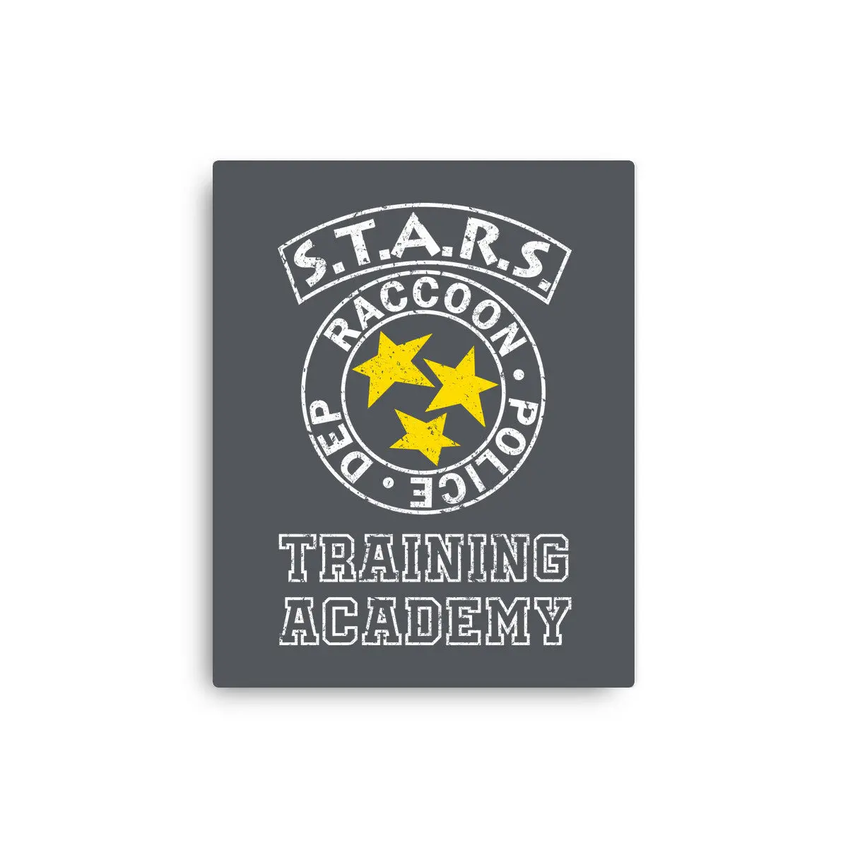 Stars Training Academy 7