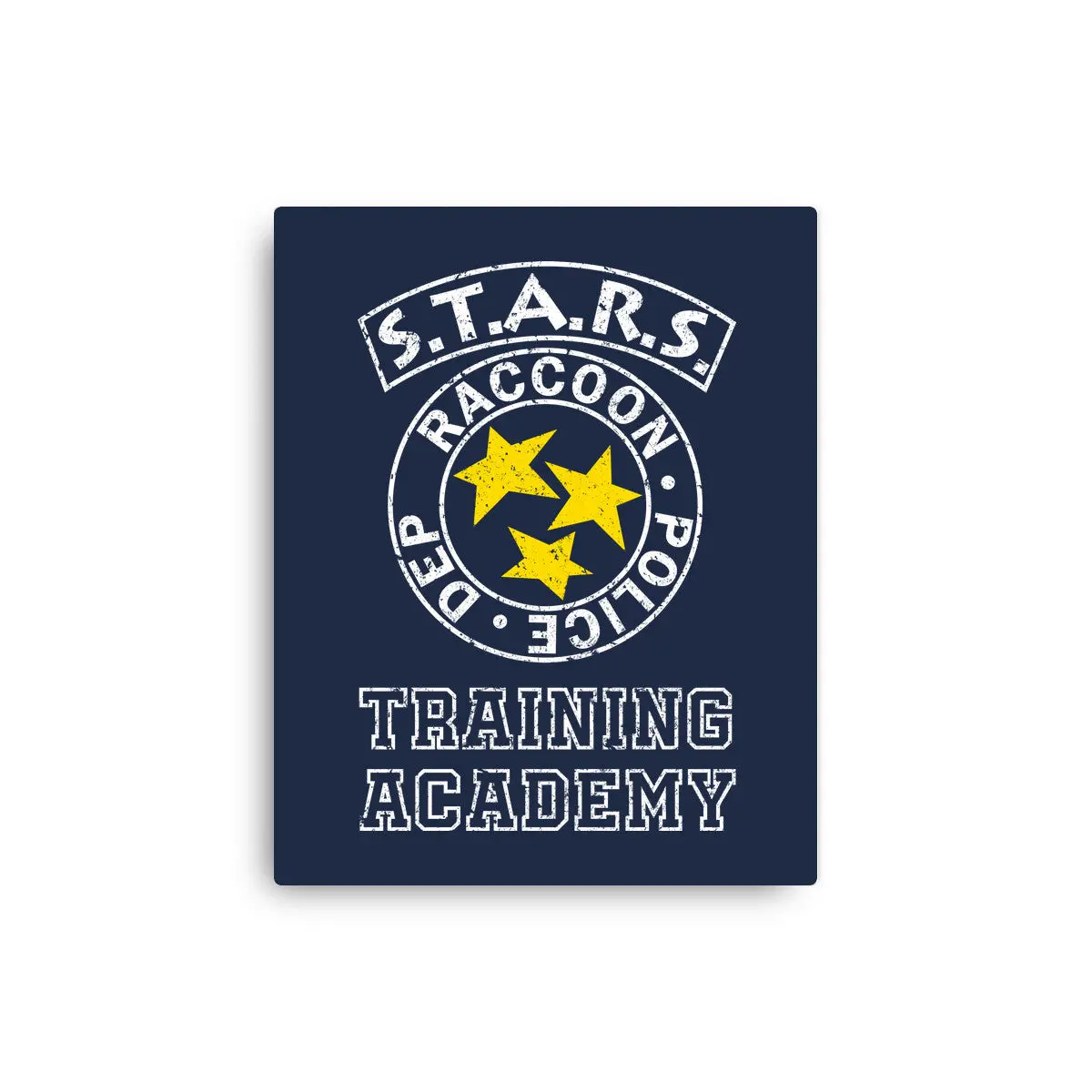 Stars Training Academy 1