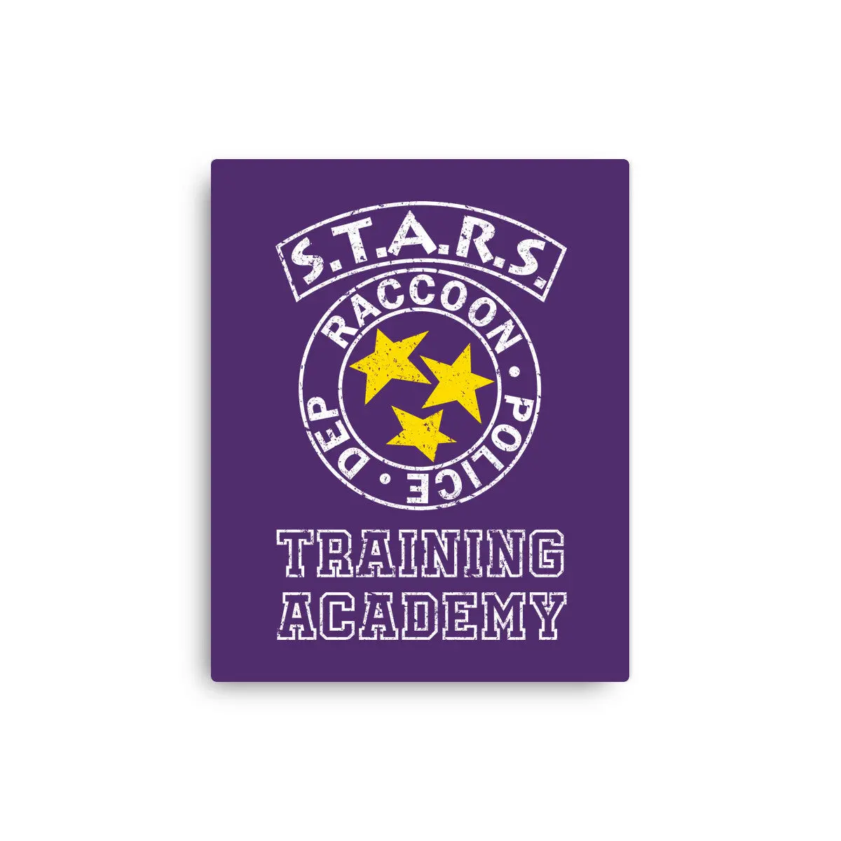 Stars Training Academy 13