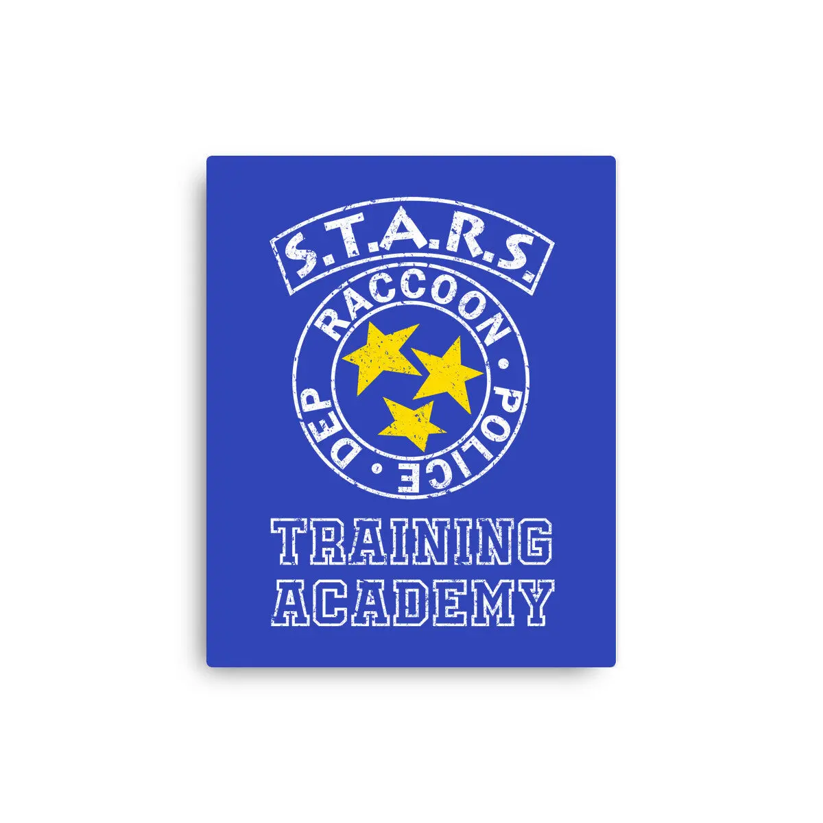 Stars Training Academy 10