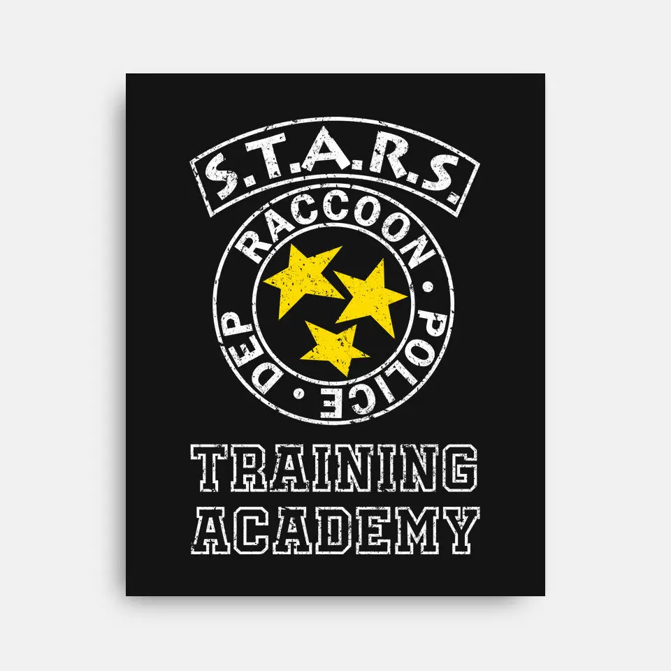 Stars Training Academy 5