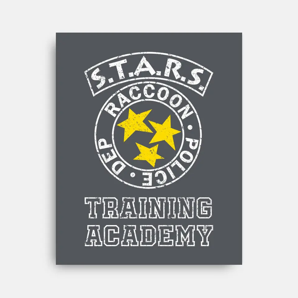 Stars Training Academy 8