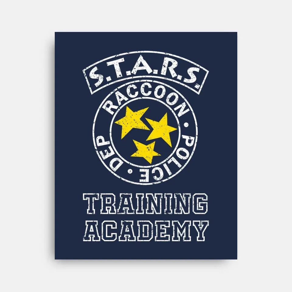 Stars Training Academy 2
