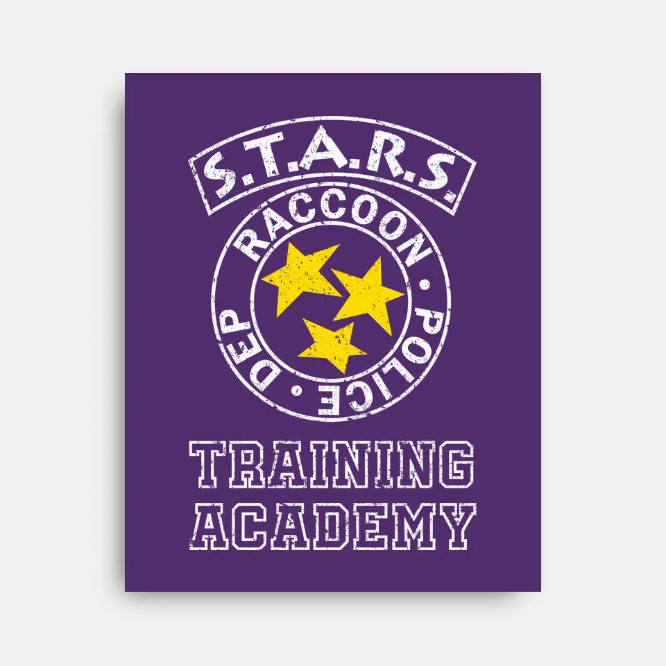 Stars Training Academy 14