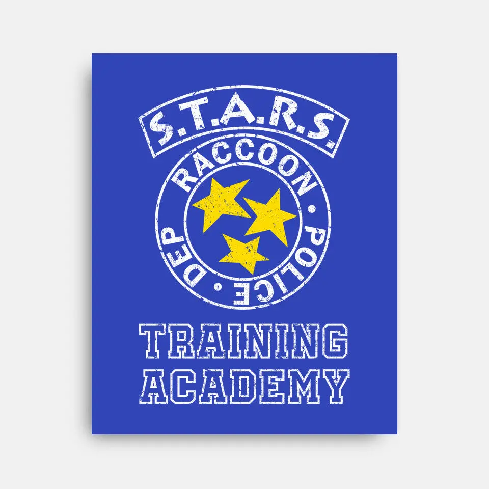 Stars Training Academy 11