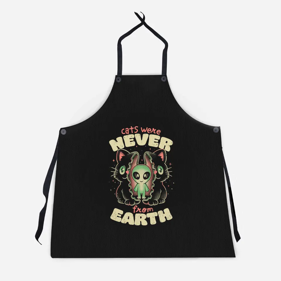 Cats Were Never From Earth 2