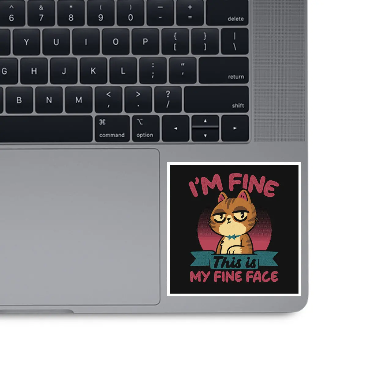 This Is My Fine Face 1