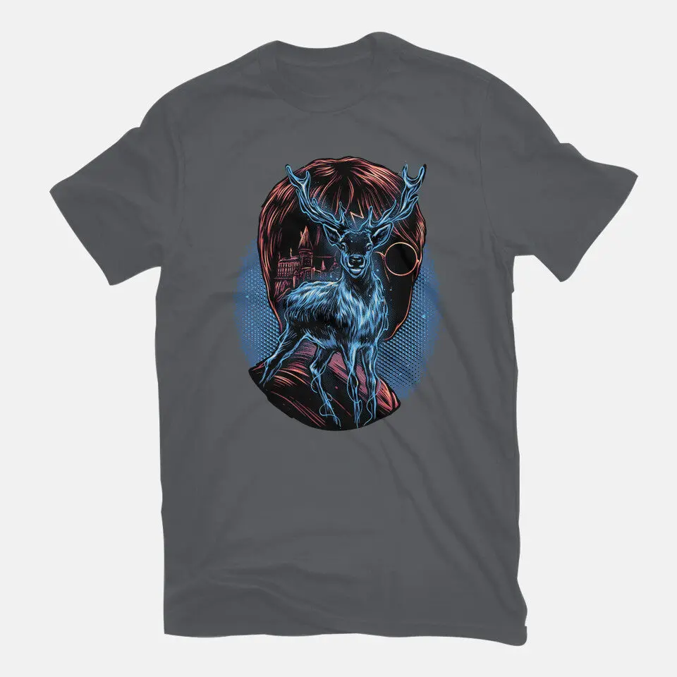 The Patronus Will Guide Me 11