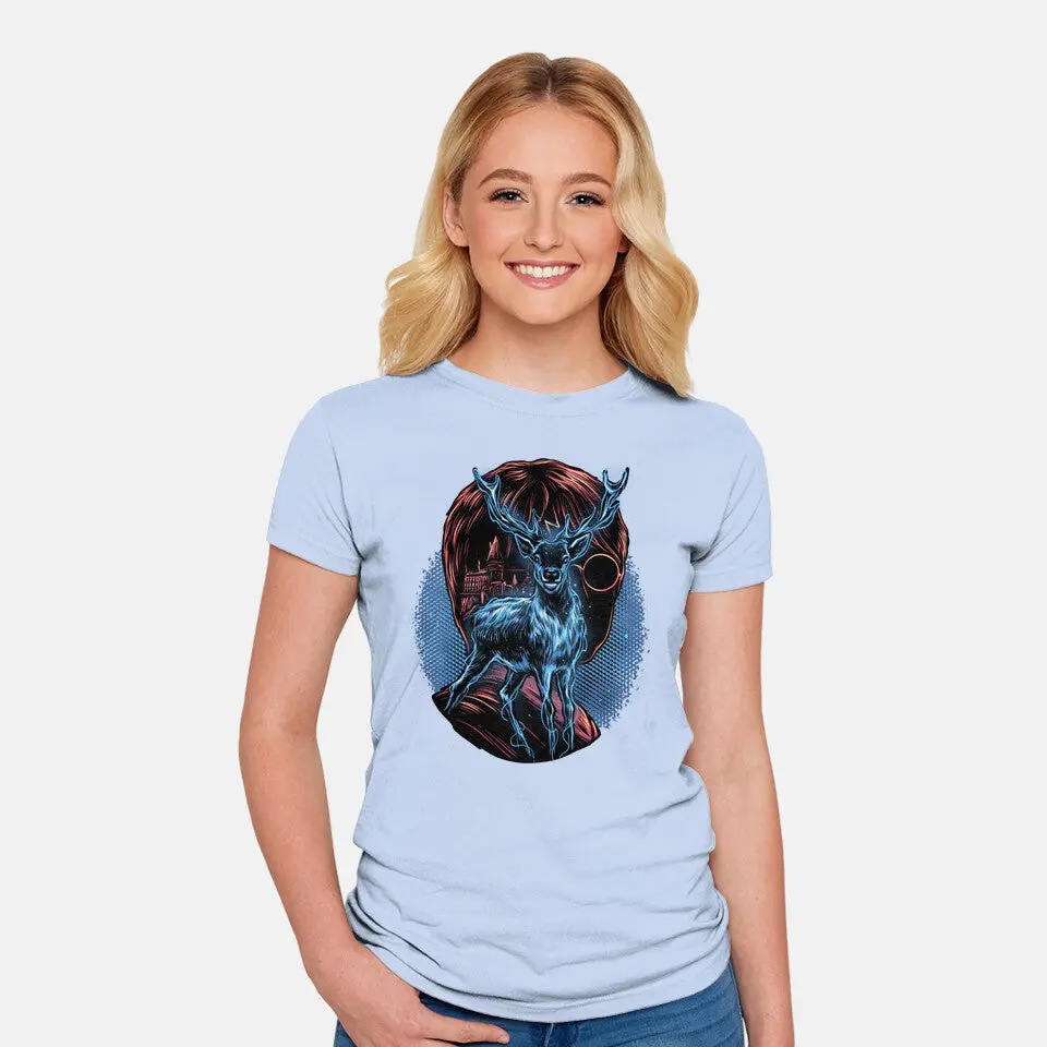 The Patronus Will Guide Me 14