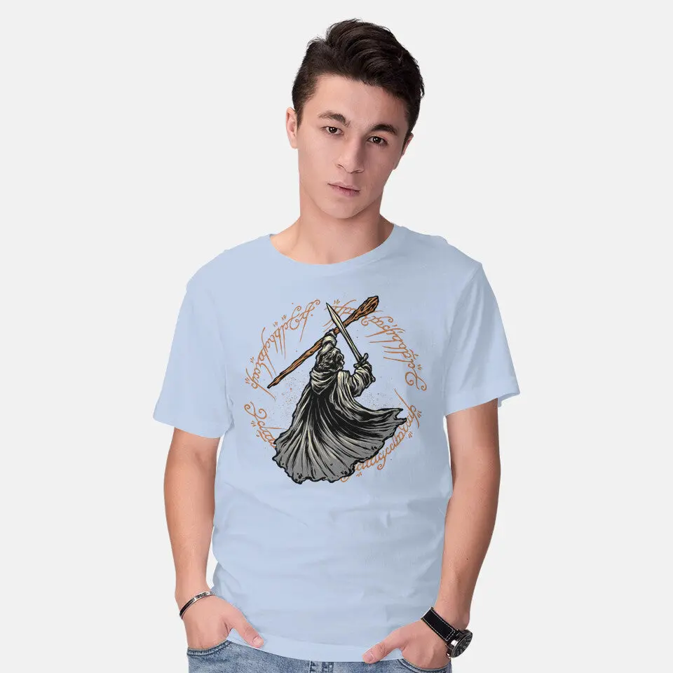 Destiny Of The Wizard 14