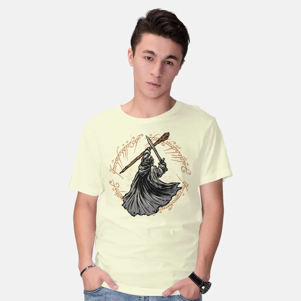 Destiny Of The Wizard 18