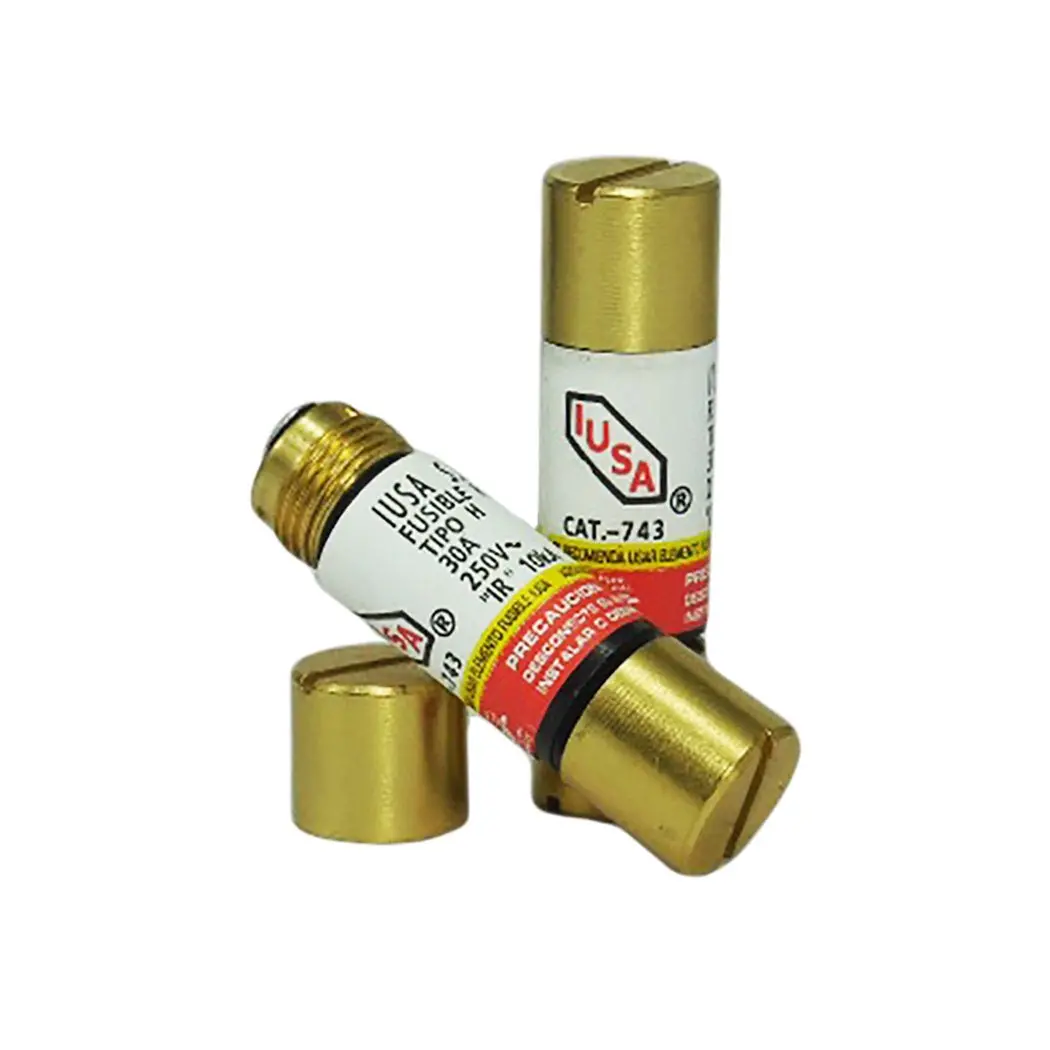 Fusible Iusa 30 Amp. Económico - La Nueva Eléctrica 1