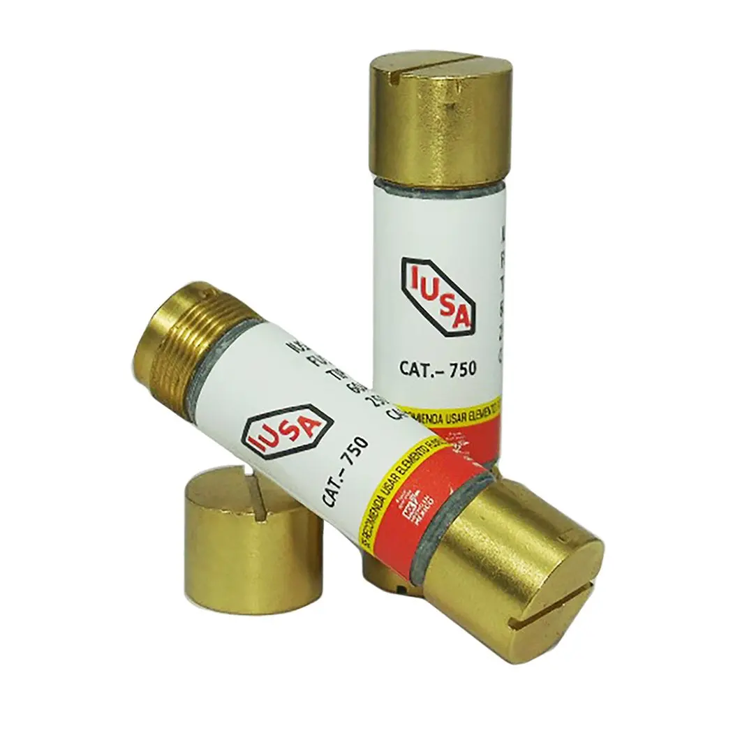 Fusible Iusa 60 Amp. - La Nueva Eléctrica 1