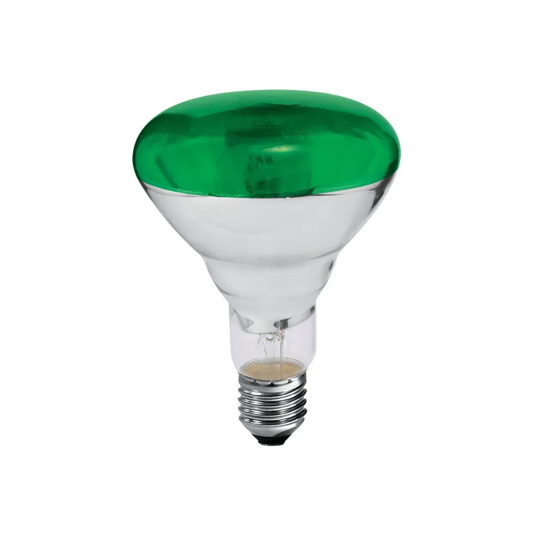 Foco Adir Spot 75W Verde - La Nueva Eléctrica 1