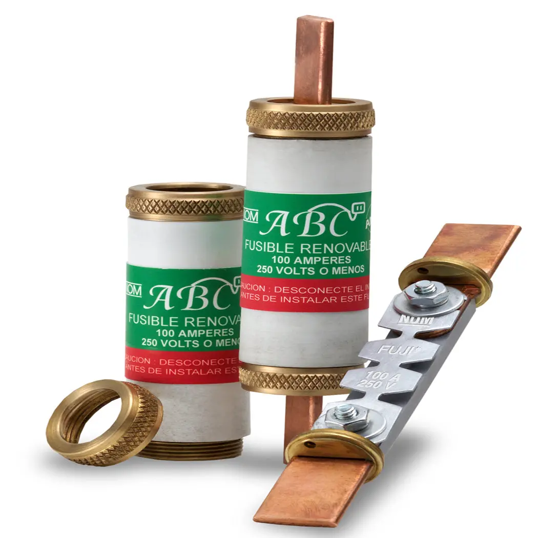 Fusible Abc 100 Amp - La Nueva Eléctrica 1