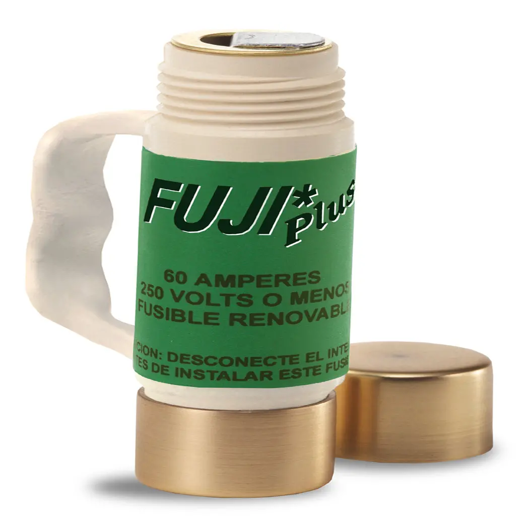 Fusible Fuji 60 Amp - La Nueva Eléctrica 1