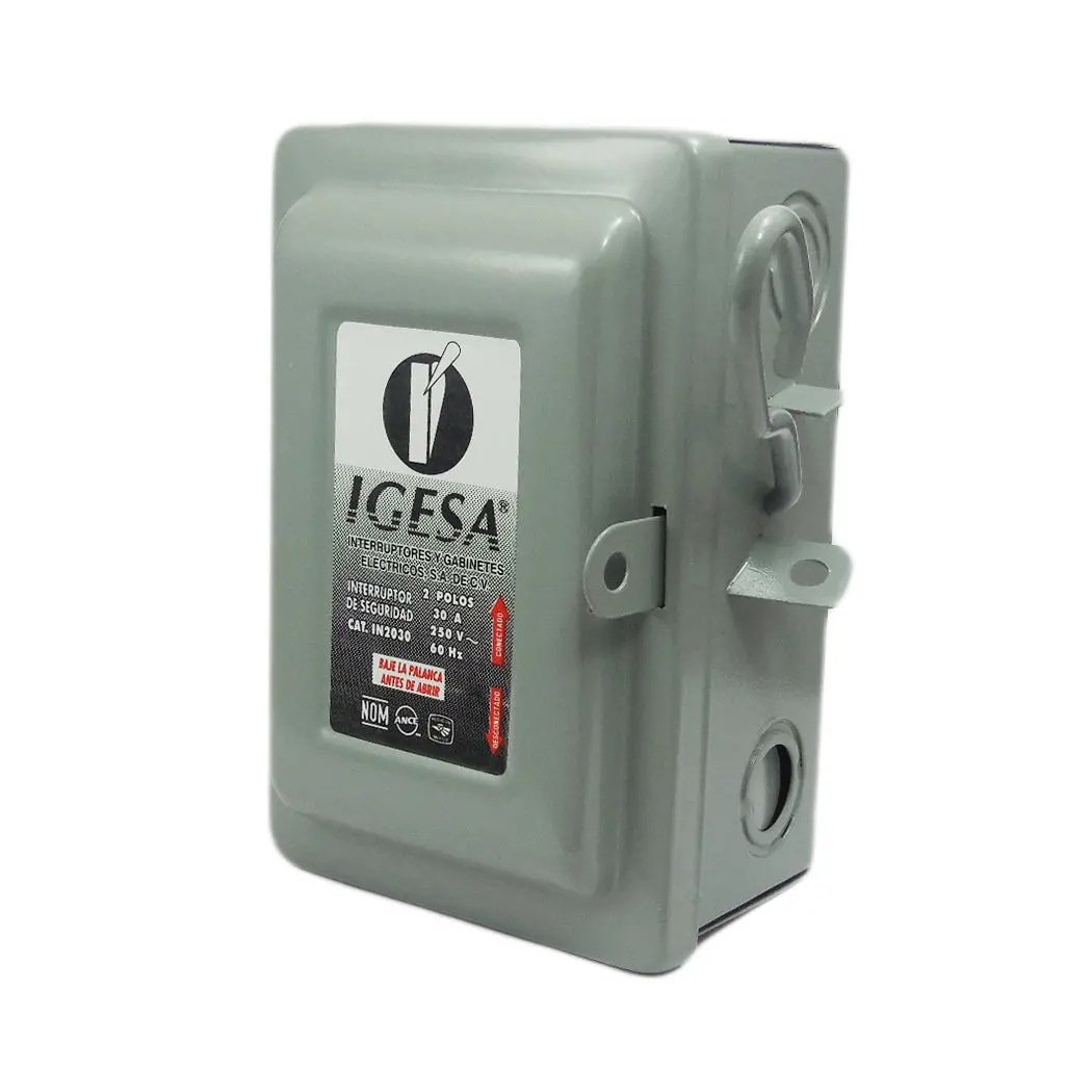 Interruptor Igesa 2X30 Amp - La Nueva Eléctrica 1