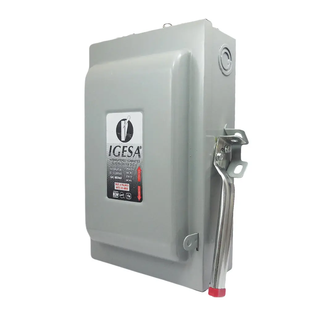 Interruptor Igesa 2X60 Amp - La Nueva Eléctrica 1