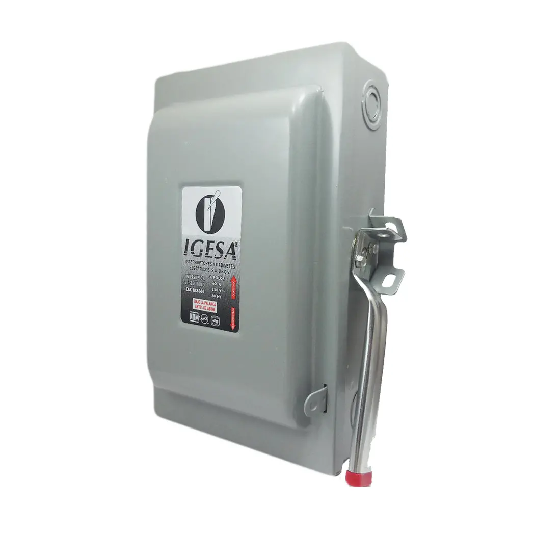 Interruptor Igesa 3X60 Amp - La Nueva Eléctrica 1